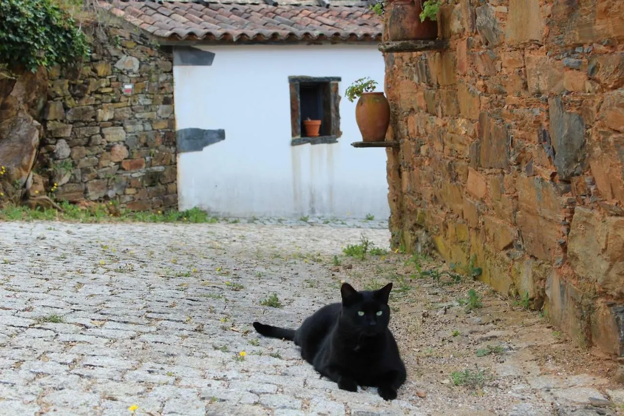 Vilar Dos Condes Pedrógão Pequeno 0*,  Portugal